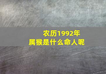 农历1992年属猴是什么命人呢