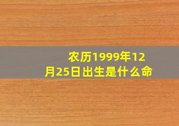 农历1999年12月25日出生是什么命