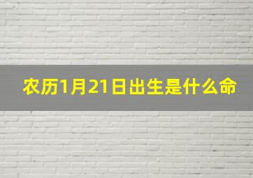 农历1月21日出生是什么命