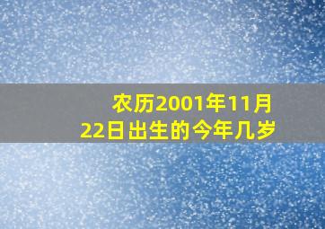 农历2001年11月22日出生的今年几岁