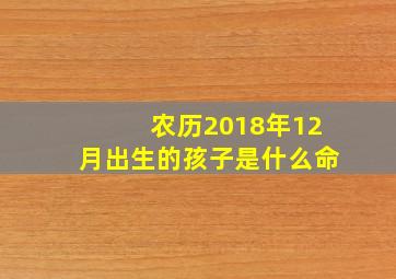 农历2018年12月出生的孩子是什么命