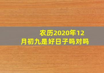 农历2020年12月初九是好日子吗对吗