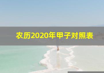 农历2020年甲子对照表