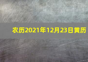 农历2021年12月23日黄历