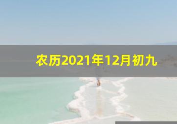 农历2021年12月初九