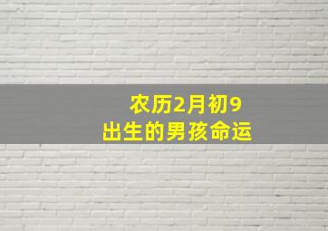 农历2月初9出生的男孩命运