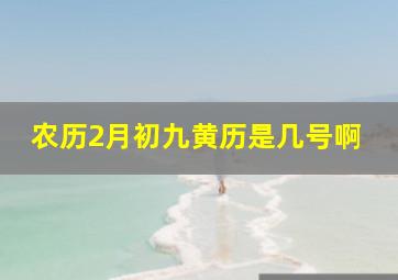 农历2月初九黄历是几号啊