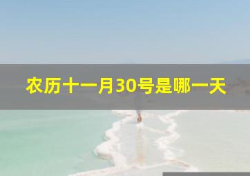 农历十一月30号是哪一天