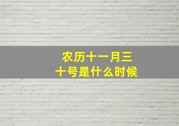 农历十一月三十号是什么时候