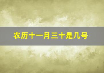 农历十一月三十是几号