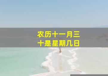 农历十一月三十是星期几日