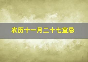 农历十一月二十七宜忌