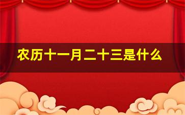 农历十一月二十三是什么