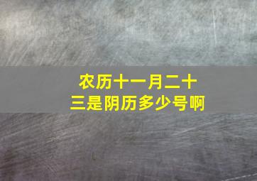 农历十一月二十三是阴历多少号啊