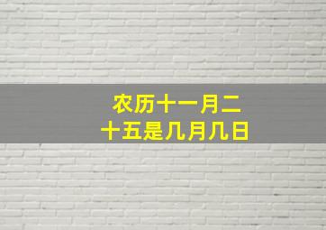 农历十一月二十五是几月几日