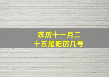 农历十一月二十五是阳历几号