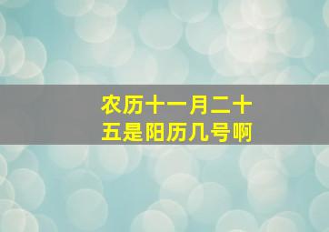 农历十一月二十五是阳历几号啊