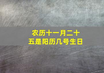 农历十一月二十五是阳历几号生日