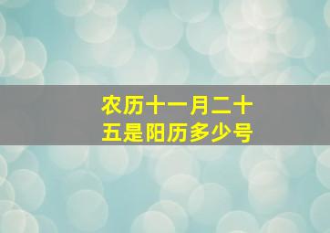 农历十一月二十五是阳历多少号