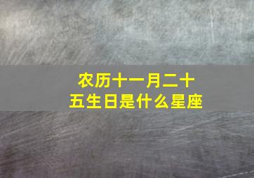 农历十一月二十五生日是什么星座