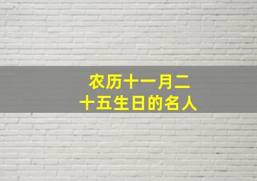 农历十一月二十五生日的名人