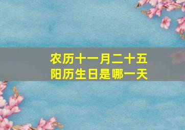 农历十一月二十五阳历生日是哪一天