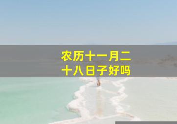 农历十一月二十八日子好吗