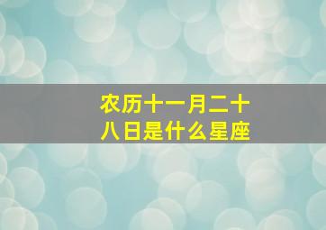 农历十一月二十八日是什么星座