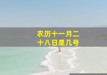 农历十一月二十八日是几号