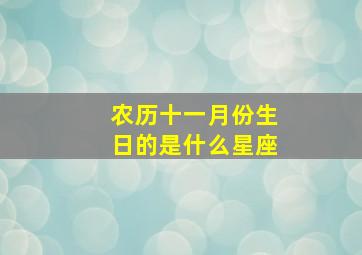 农历十一月份生日的是什么星座