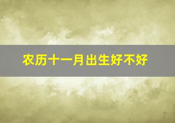 农历十一月出生好不好