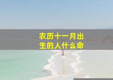 农历十一月出生的人什么命