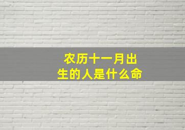 农历十一月出生的人是什么命