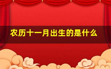 农历十一月出生的是什么