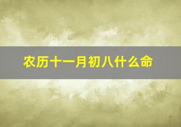 农历十一月初八什么命