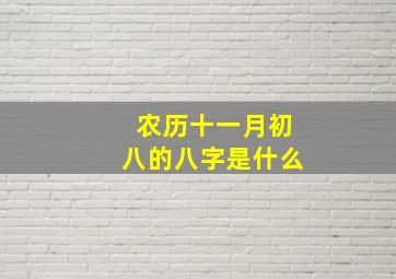 农历十一月初八的八字是什么