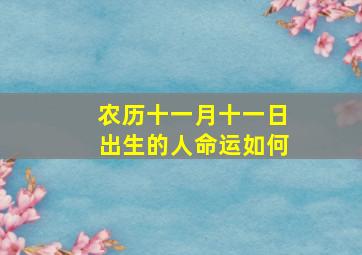 农历十一月十一日出生的人命运如何