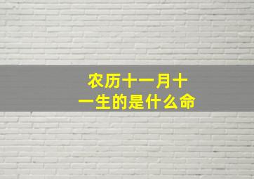 农历十一月十一生的是什么命