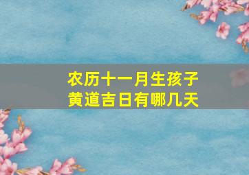 农历十一月生孩子黄道吉日有哪几天