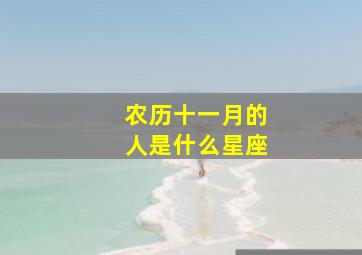 农历十一月的人是什么星座