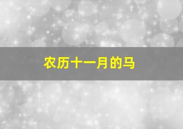 农历十一月的马