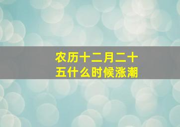 农历十二月二十五什么时候涨潮