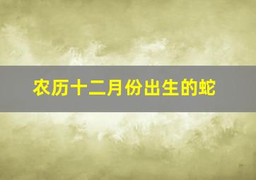 农历十二月份出生的蛇