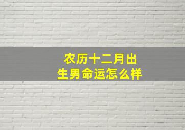 农历十二月出生男命运怎么样