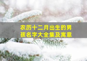 农历十二月出生的男孩名字大全集及寓意