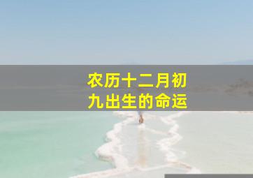 农历十二月初九出生的命运