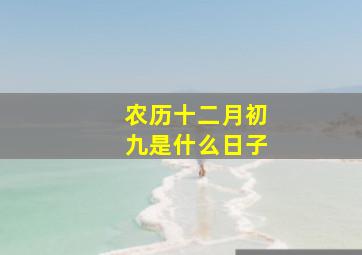 农历十二月初九是什么日子