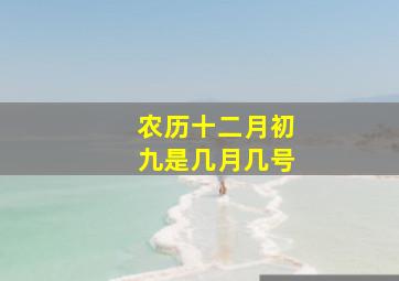 农历十二月初九是几月几号