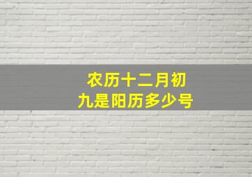 农历十二月初九是阳历多少号