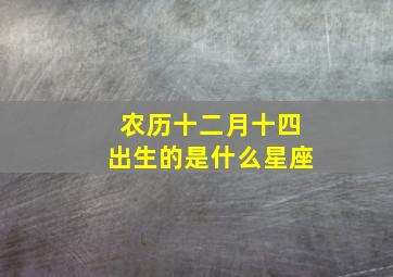 农历十二月十四出生的是什么星座